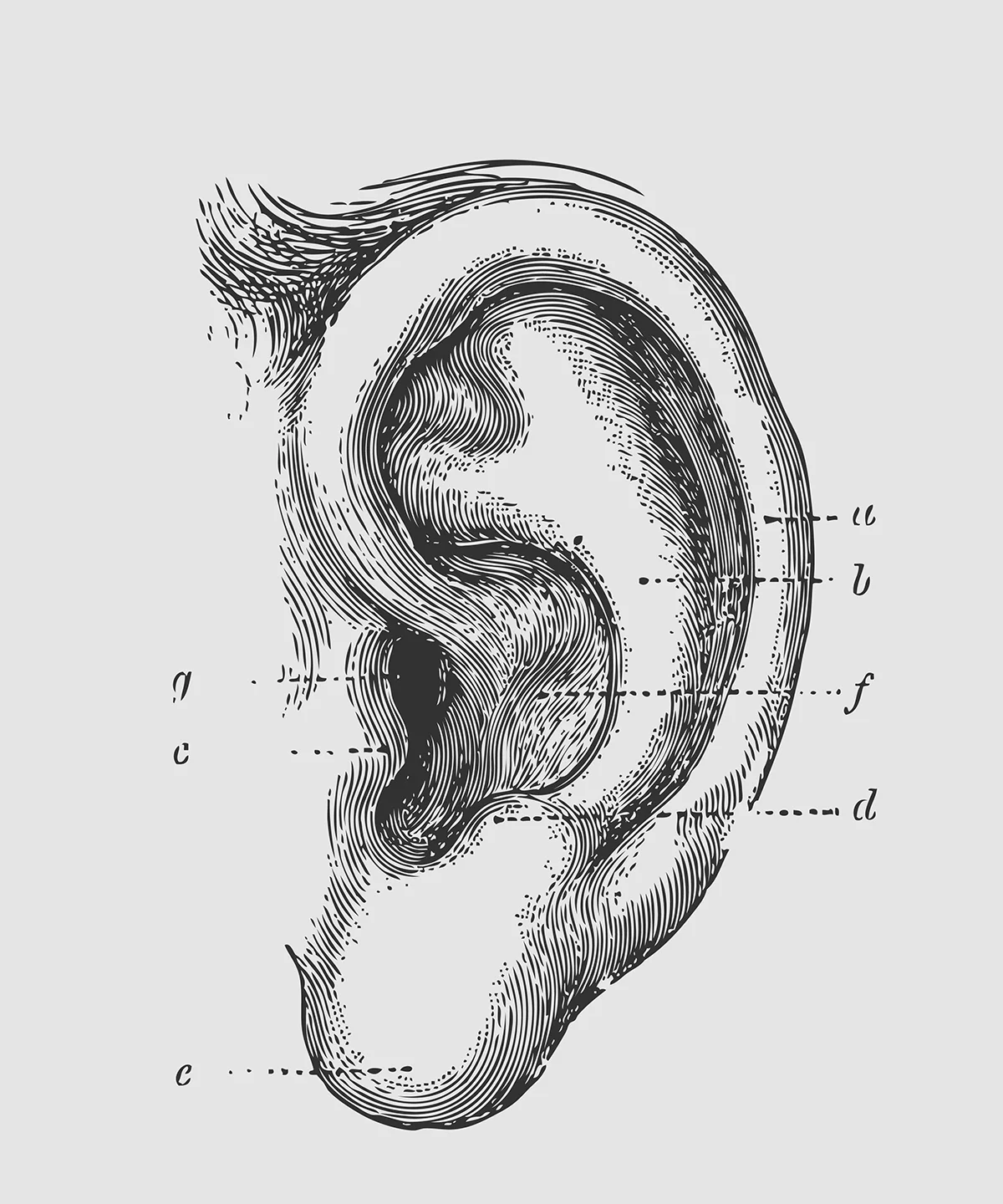 Kulak Memesi Küçültme Riskleri